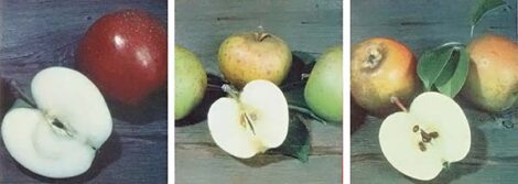 Antique Apples Image